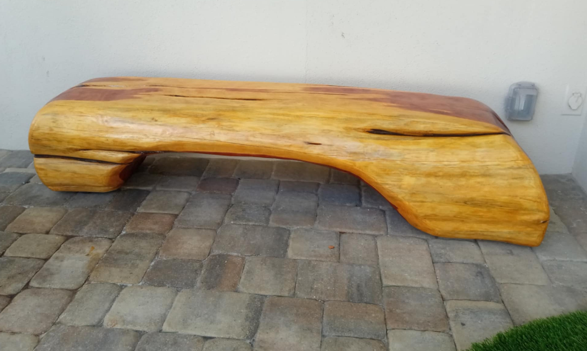 red cedar tree trunk benches