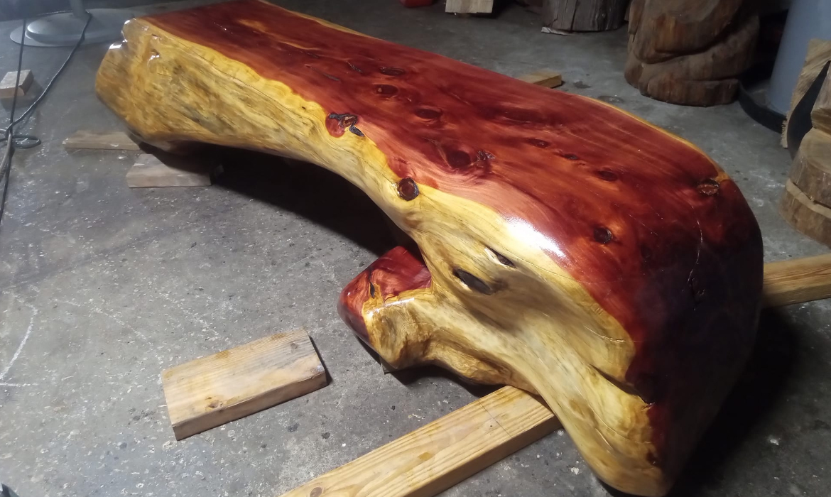 Cedar Tree Trunk Benches